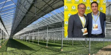Agrifotovoltaico, Coldiretti Caserta: si a rinnovabili, ma no all’uso terreni ad alto valore produttivo
