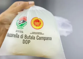 Il Consorzio Mozzarella di Bufala Campana Dop presenta report 2024 e scenari 2025