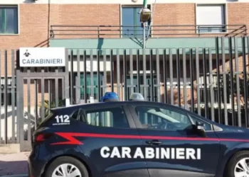 Bellona: rinchiude il cane in box in campagna senza cibo, denunciato