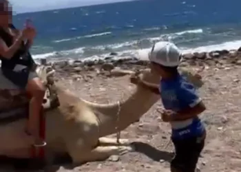 Vacanza si trasforma in odissea: avventura da sogno diventa incubo per famiglia casertana a Sharm El Sheikh