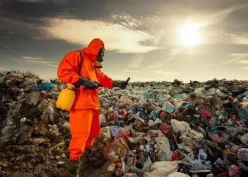 Ecomafia, Legambiente: in tre decenni reati ogni 18 minuti, affari per 260 miliardi