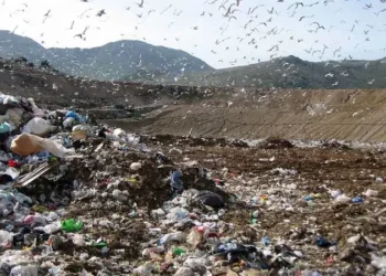 Terra dei Fuochi, il trionfo della camorra sulla salute dei cittadini