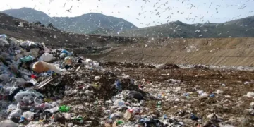 Terra dei Fuochi, il trionfo della camorra sulla salute dei cittadini