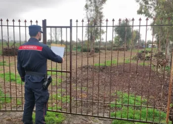 Sfalci e potature ammassate sul cassone, sequestrato autocarro e fondo agricolo