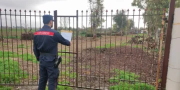 Sfalci e potature ammassate sul cassone, sequestrato autocarro e fondo agricolo
