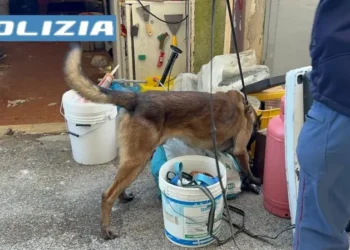 Droga: blitz della Mobile in rione popolare di Santa Maria Capua Vetere, 17enne in manette