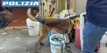 Droga: blitz della Mobile in rione popolare di Santa Maria Capua Vetere, 17enne in manette