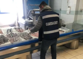 Sequestrate 2 tonnellate di prodotti ittici a ridosso delle festività di fine anno