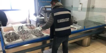 Sequestrate 2 tonnellate di prodotti ittici a ridosso delle festività di fine anno