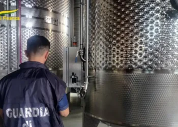 Produceva e vendeva vino contraffatto a prezzo alto, una denuncia a Sessa Aurunca