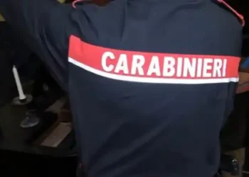 Prodotti ittici non tracciati e lavoratori in nero, guai per sushi restaurant di Santa Maria Capua Vetere