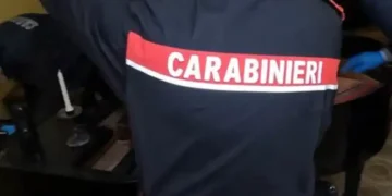 Prodotti ittici non tracciati e lavoratori in nero, guai per sushi restaurant di Santa Maria Capua Vetere