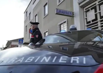 Insetti nel laboratorio, i Nas chiudono supermercato a Capodrise