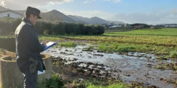Alvignano, sequestrato allevamento bufalino per violazioni ambientali