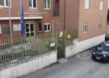 Frode su Fondi UE, arrestati 12 imprenditori agricoli