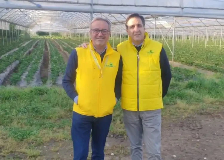 amico miselli coldiretti Caserta
