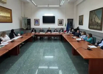 Consiglio Comunale Casapulla