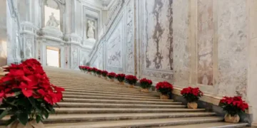Reggia di Caserta, Scalone reale con stelle di Natale