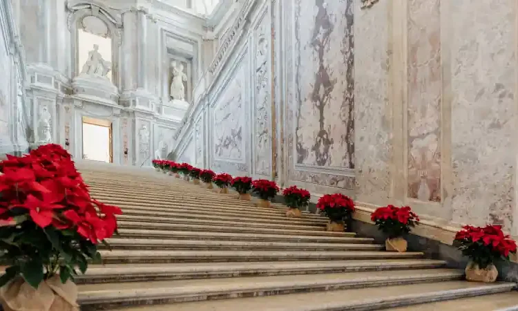 Reggia di Caserta, Scalone reale con stelle di Natale