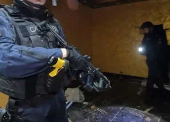 blitz antidroga Carabinieri