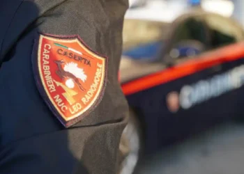 carabinieri