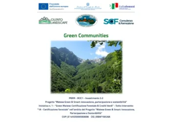 Certificazione forestale Matese