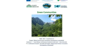 Certificazione forestale Matese