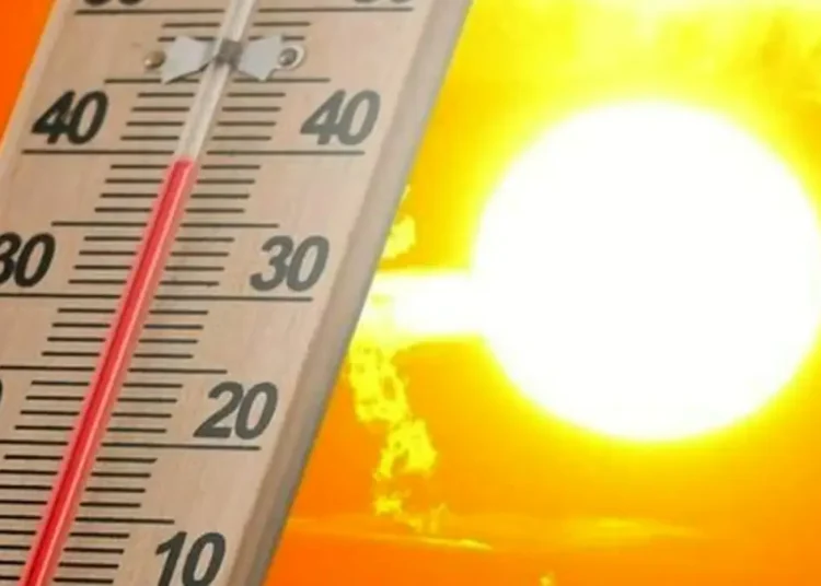 allerta caldo